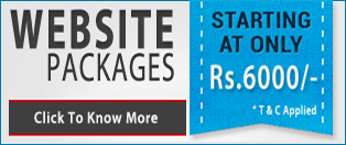Panacia Softwares : Website Packages Pricing.
